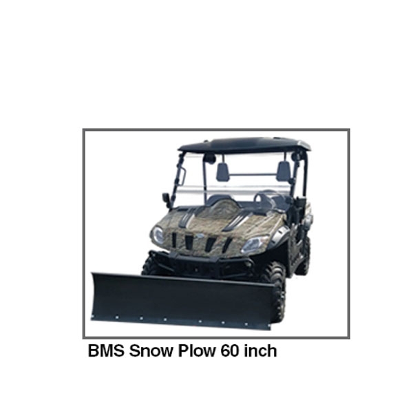 SNOW PLOWS