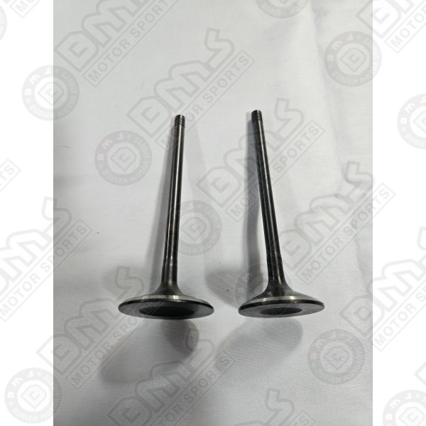 VALVE, EXHAUST 2PCS