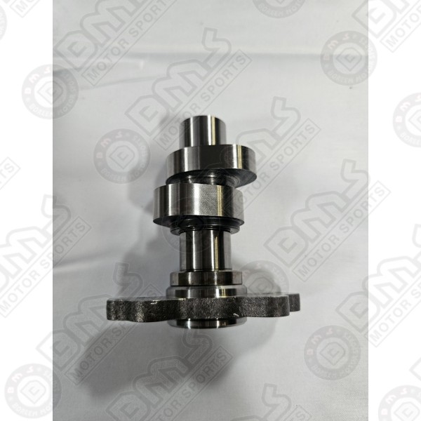 CAMSHAFT ASSY 