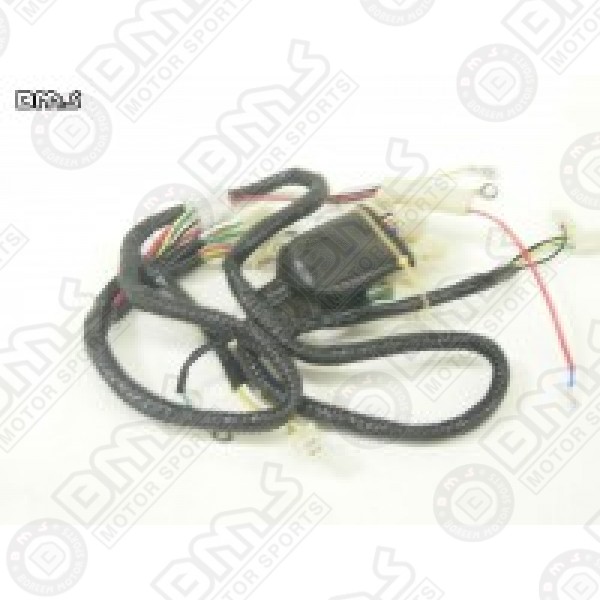 MAIN HARNESS