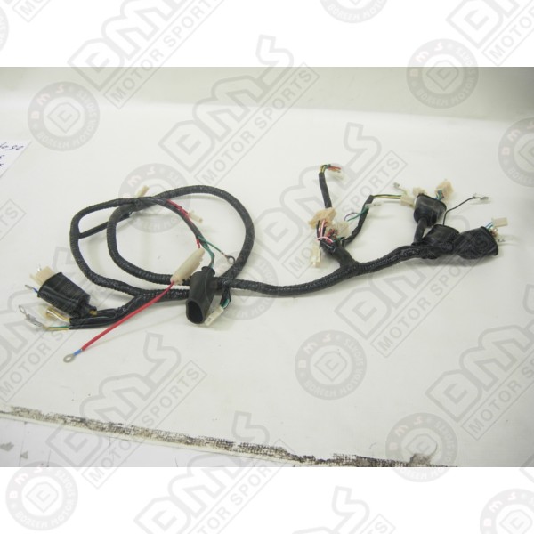 Main Harness