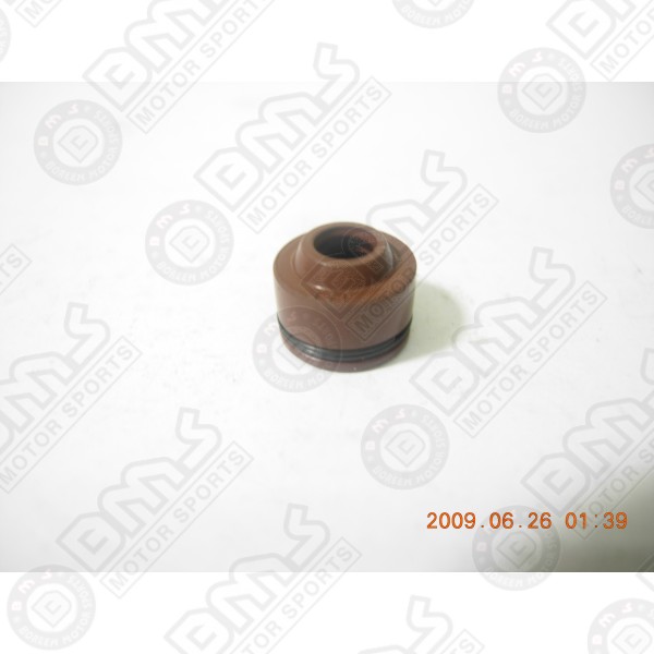 Seal Valve