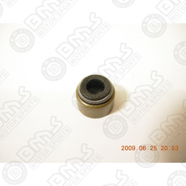 Valve oil Seal
