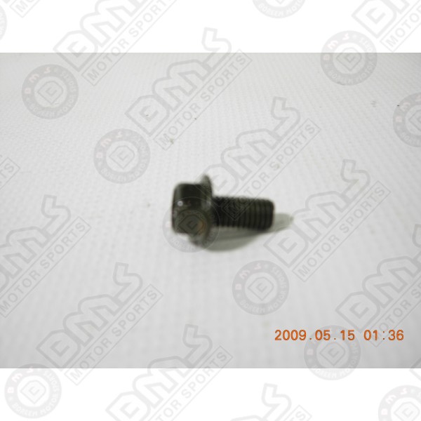 Muffler Bolt 