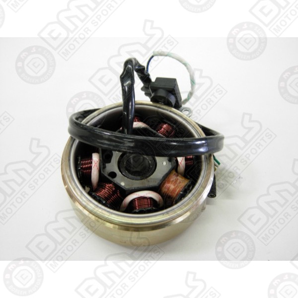 Stator magneto assembly