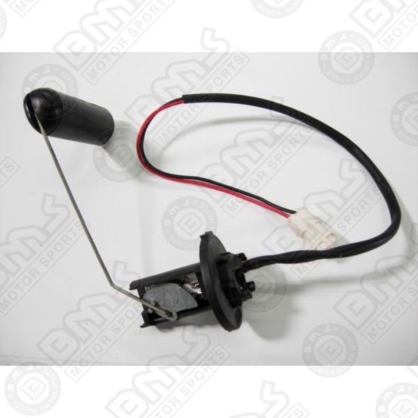 Fuel sensor