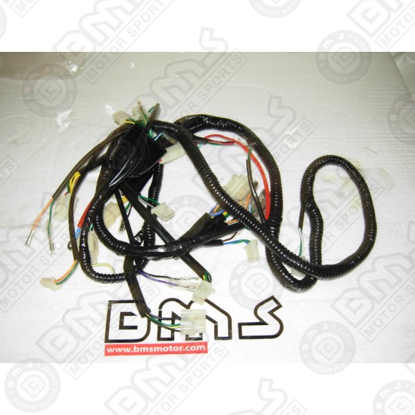 Wire Harness