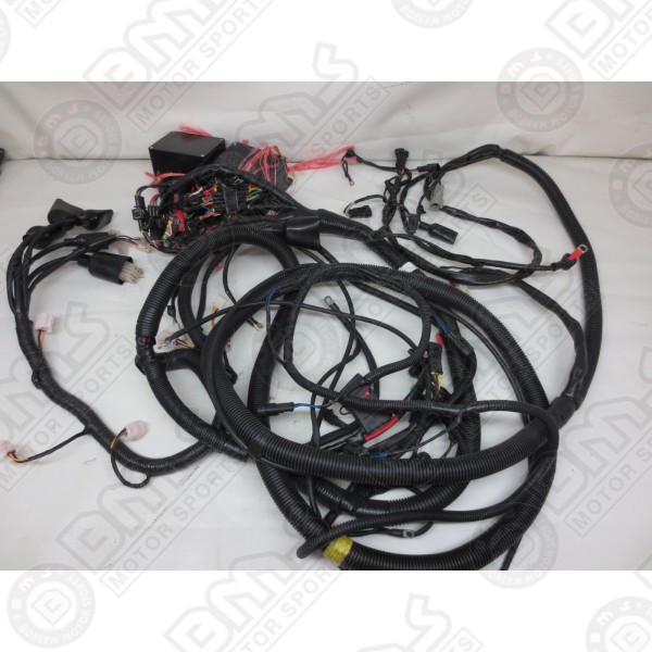 Main Wire Harness
