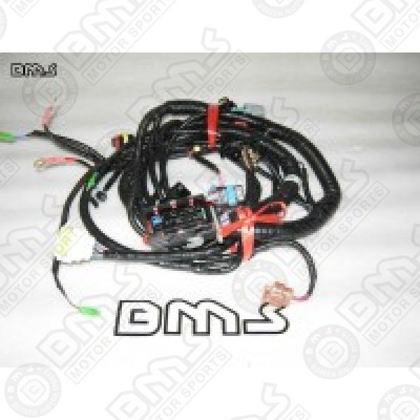 Engine Wiring Harness