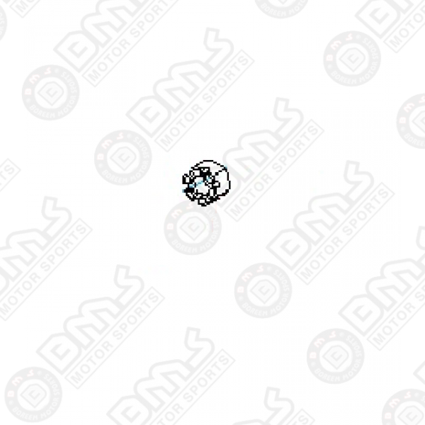 HEXAGON SLOTTED NUT M24X1.5