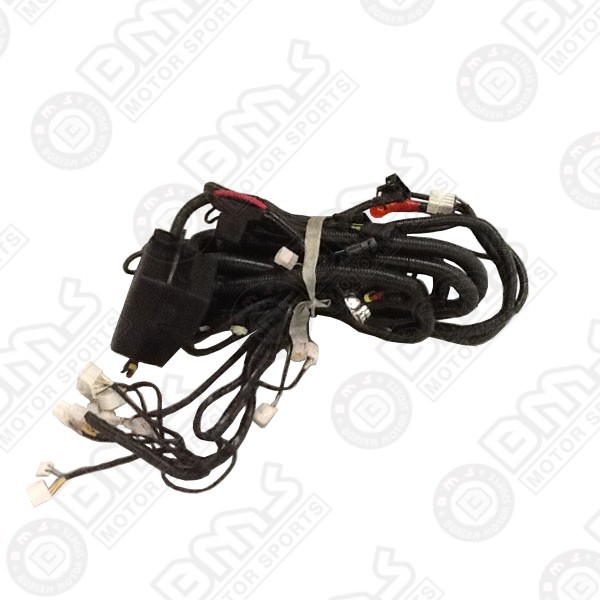 MAIN HARNESS