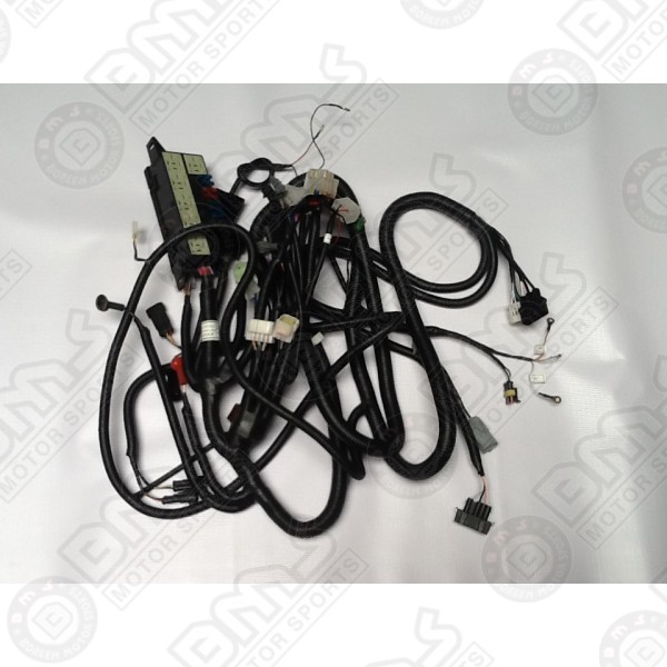 Main Wiring harness for  BMS® V-Twin 800 (2017 Older )