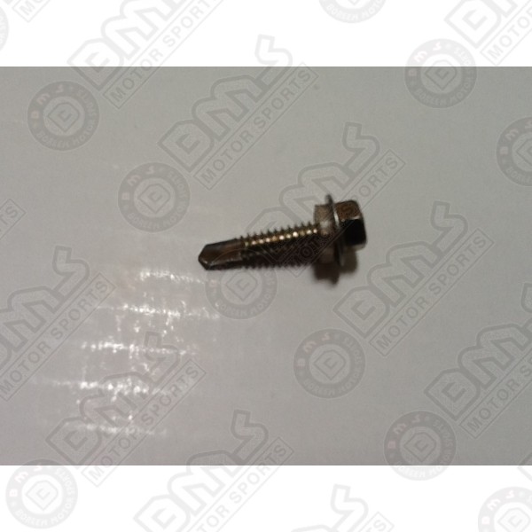 Drill tail bolt