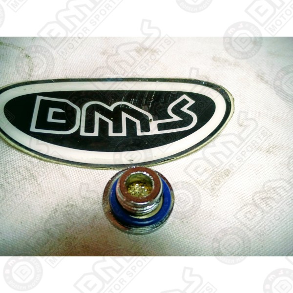 PLUG,TIMING WITH GASKET