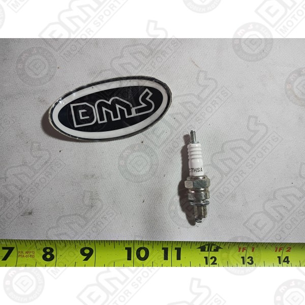 Spark plugs (C7HSA)