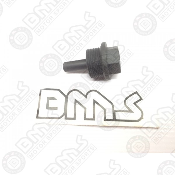 PLUG SCREW