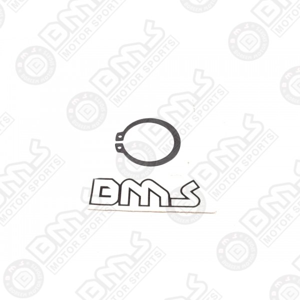 rear knuckle bearing ring