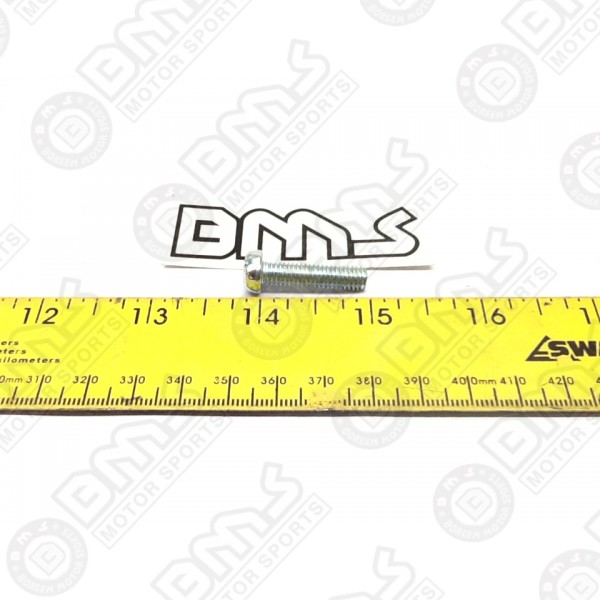  OIL PUMP SCREW