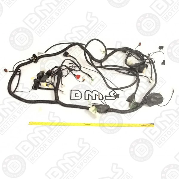  MAIN HARNESS (OLD MODEL)