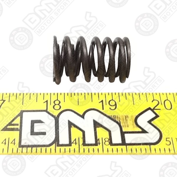 Valve spring