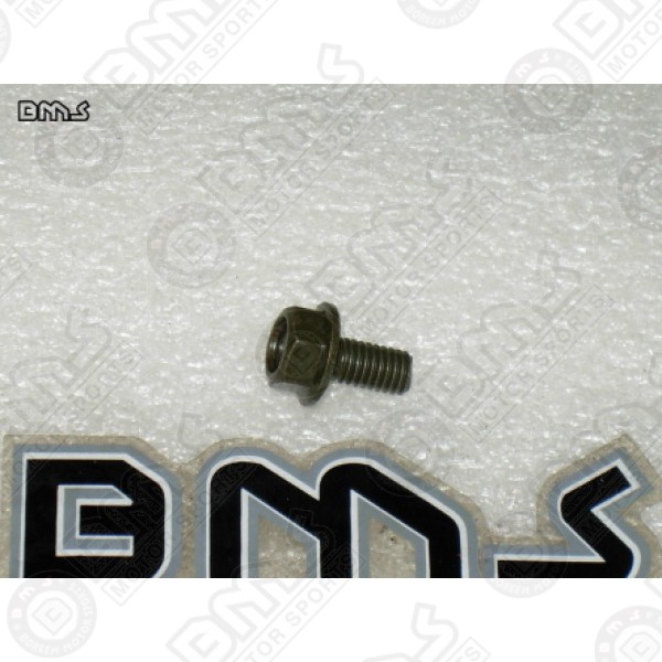 FLANGE BOLT