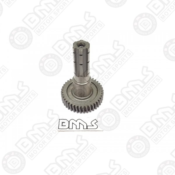 Output shaft