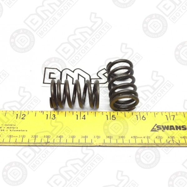 SPRING VALVE 2 PCS SET