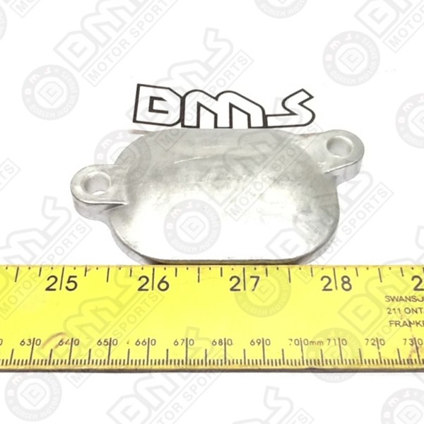 VALVE INSPECTION CAP