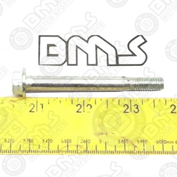 CRANKCASE BOLT