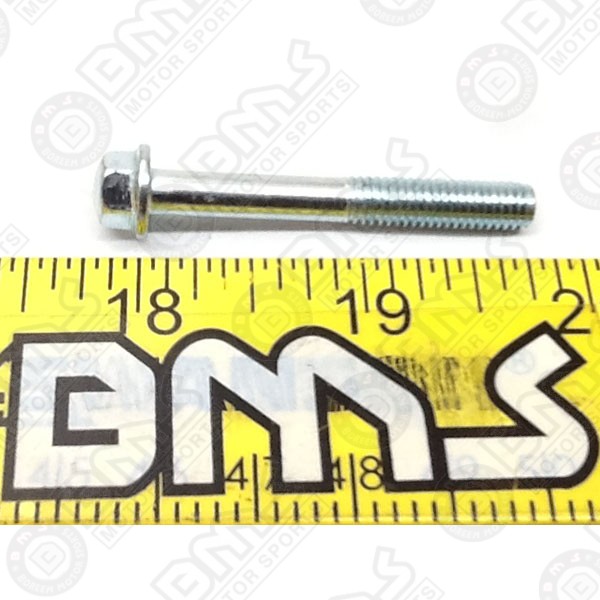 CRANKCASE BOLT