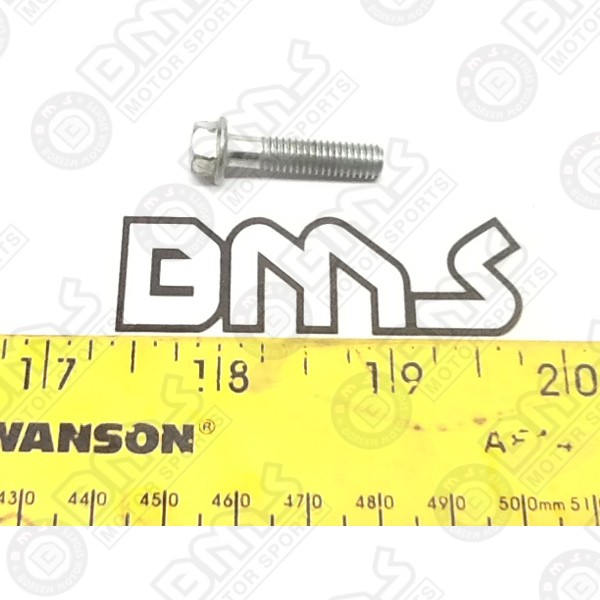  GEAR SHIFT CAM BOLT