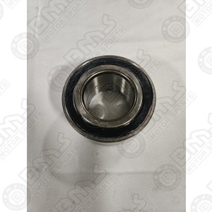 Rear Bearing