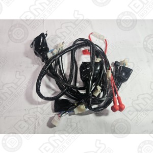 Main Harness
