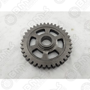 INTERMEDIATE DRIVEN GEAR