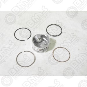 Piston and Rings Assy