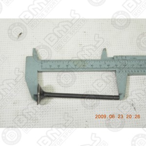 Intake Valve