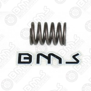Valve spring