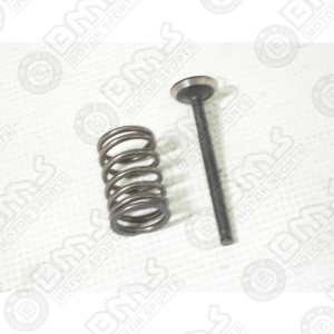 Intake valve