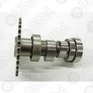 shaft drive-cam shaft