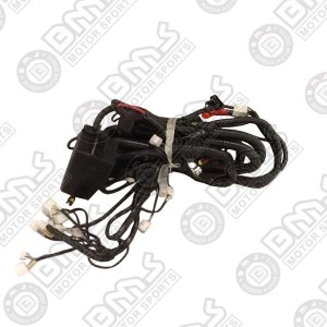 ENGINE HARNESS