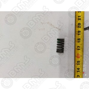 SPRING, VALVE INNER