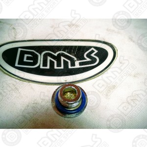 PLUG,TIMING WITH GASKET