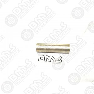 rear swing arm canal