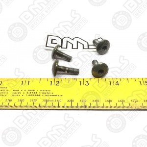 4 PCS SET, HINGE HOLDER SCREW