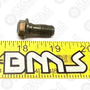 OIL BOLT 10x20