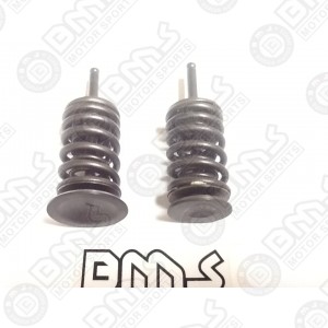 INTAKE & EXHAUT VALVE SET