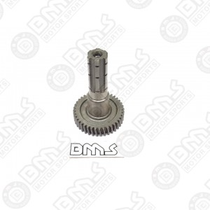 Output shaft