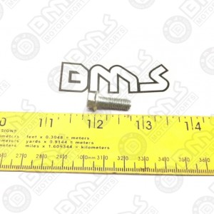 VALVE INSPECTION CAP BOLT