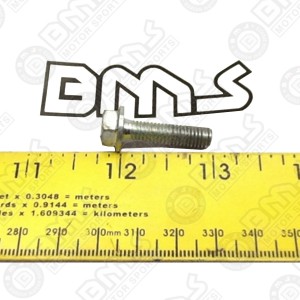 THERMOSTAT COVER BOLT