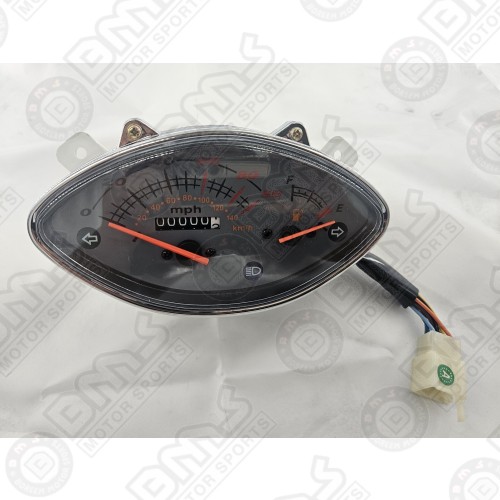 SPEEDOMETER ASSEMBLY